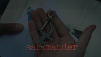 Bild von Salamander Trailer DF