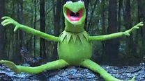 Bild von Kermit Ice Bucket Challenge