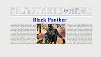 Bild von Was bisher geschah... alle wichtigen News zu "Black Panther" auf einen Blick! 