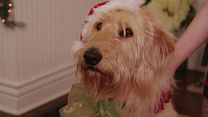 Bild von Ein Weihnachtsspaß auf vier Pfoten Trailer DF