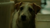 Bild von Underdog Trailer (2) OV