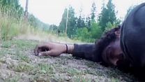 Bild von The Bigfoot Tapes Trailer (2) OV