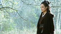 Bild von The Assassin Teaser OV