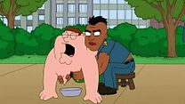 Bild von Family Guy - staffel 11 Trailer OV