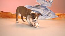 Bild von Puppies Test The New Star Wars BB-8 Droid Toy