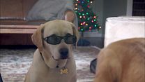 Bild von Ein Hund rettet den Weihnachtsurlaub Trailer DF
