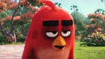 Bild von Angry Birds - Der Film Teaser (2) OV
