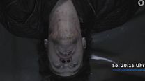 Bild von Tatort: Preis des Lebens Trailer DF