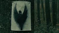 Bild von Moth Trailer OV