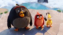 Bild von Angry Birds - Der Film Trailer OV