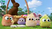 Bild von The Angry Birds Movie VIRAL VIDEO - Hatchling Easter