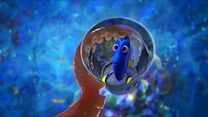 Bild von Findet Nemo 2: Findet Dorie - Japanischer Trailer