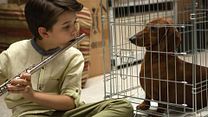 Bild von Wiener Dog Trailer (2) OV