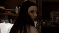 Bild von Split Trailer (3) OV