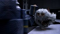 Bild von Phantastische Tierwesen und wo sie zu finden sind Trailer (8) OV