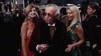 Bild von Cameo: Iron Man 1