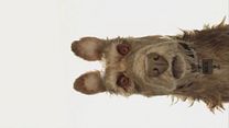 Bild von Wes Anderson "Isle of Dogs"