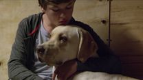 Bild von Marshall The Miracle Dog Trailer OV