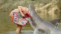 Bild von Summer Shark Attack Trailer DF