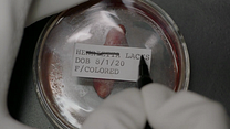 Bild von The Immortal Life of Henrietta Lacks Trailer OV