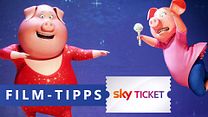 Bild von Sky Ticket Tipps im August mit "Sing" & "War Dogs" (FILMSTARTS-Original)