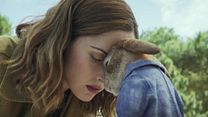 Bild von Peter Hase Trailer (3) DF