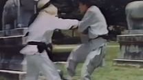 Bild von Die Zwillingsbrüder von Bruce Lee Trailer OV