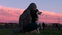 Bild von Hunde Trailer (2) OV