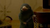 Bild von Phantastische Tierwesen: Grindelwalds Verbrechen Videoclip OV