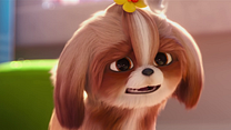 Bild von Pets 2 Daisy-Trailer OV