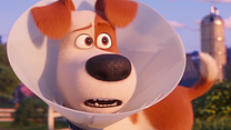 Bild von Pets 2 Trailer (8) OV