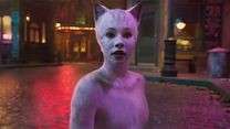Bild von Cats Trailer OV