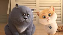 Bild von Cats Trailer (2) OV