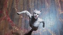 Bild von Cats Trailer (2) DF