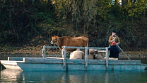 Bild von First Cow Trailer (2) OV
