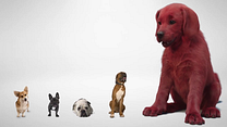 Bild von Clifford der große rote Hund Teaser OV