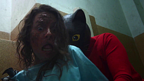 Bild von Cat Sick Blues Trailer DF