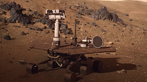 Bild von Gute Nacht, Oppy Trailer OV