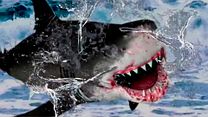 Bild von Big Shark Trailer OV