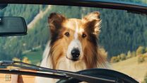Lassie - Ein neues Abenteuer - Film 2023 - FILMSTARTS.de