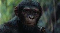 Bild von Planet der Affen 4: New Kingdom Trailer (4) OV