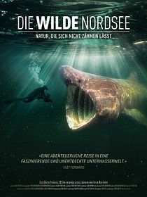 Die wilde Nordsee - Natur, die sich nicht zähmen lässt