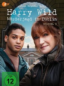 Harry Wild - Mörderjagd in Dublin