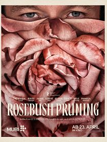 Rosebush Pruning