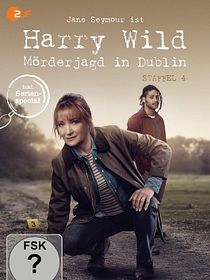 Harry Wild - Mörderjagd in Dublin