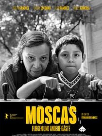 Moscas - Fliegen und andere Gäste