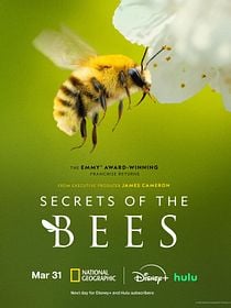 Poster der Serie Secrets Of The Bees