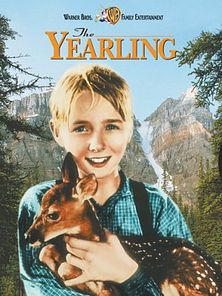 Bild von Die Wildnis ruft Trailer OV