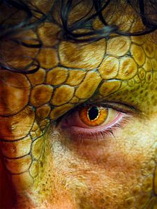 Poster der Serie Club der Dinosaurier Staffel 1