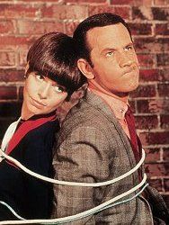 Poster der Serie Mini-Max oder Die unglaublichen Abenteuer des Maxwell Smart Staffel 5